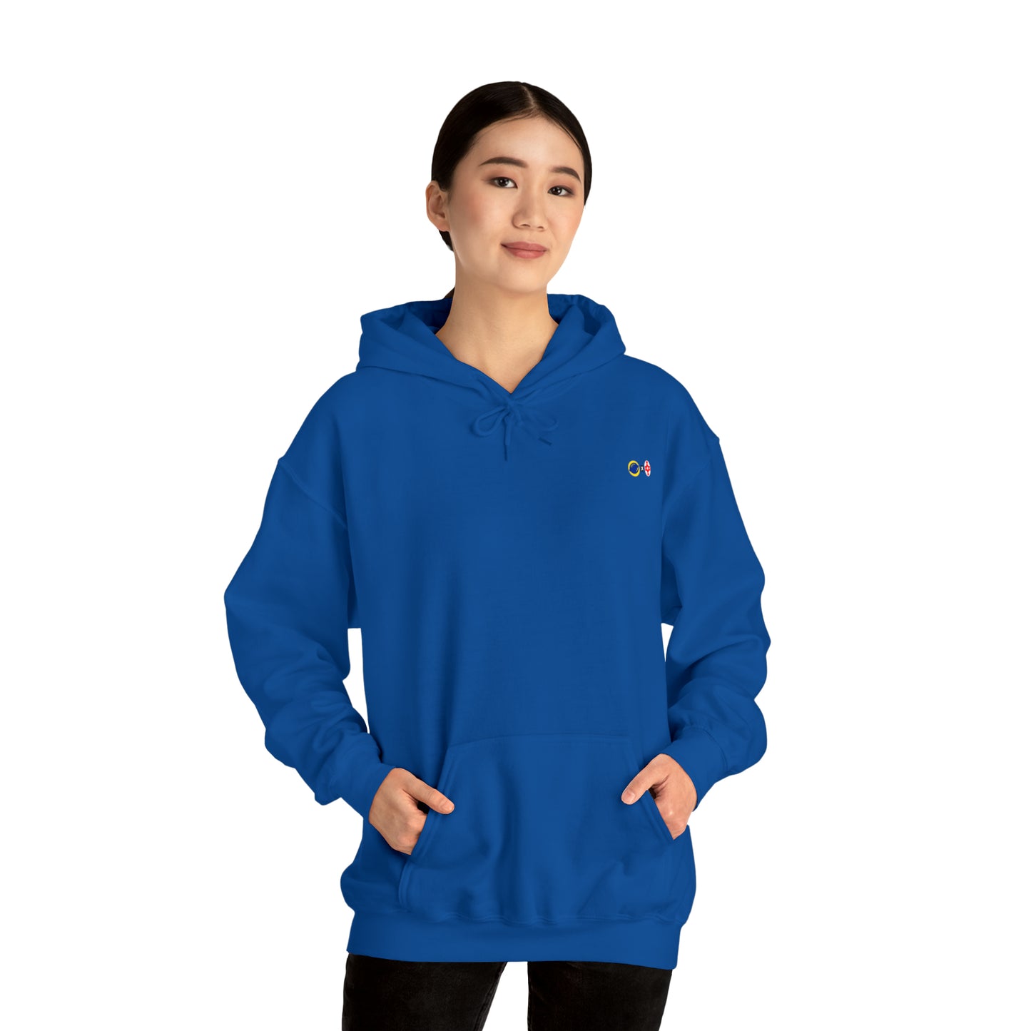 ALS x GSF Unisex Hoodie - It's Dangerous to go Alone