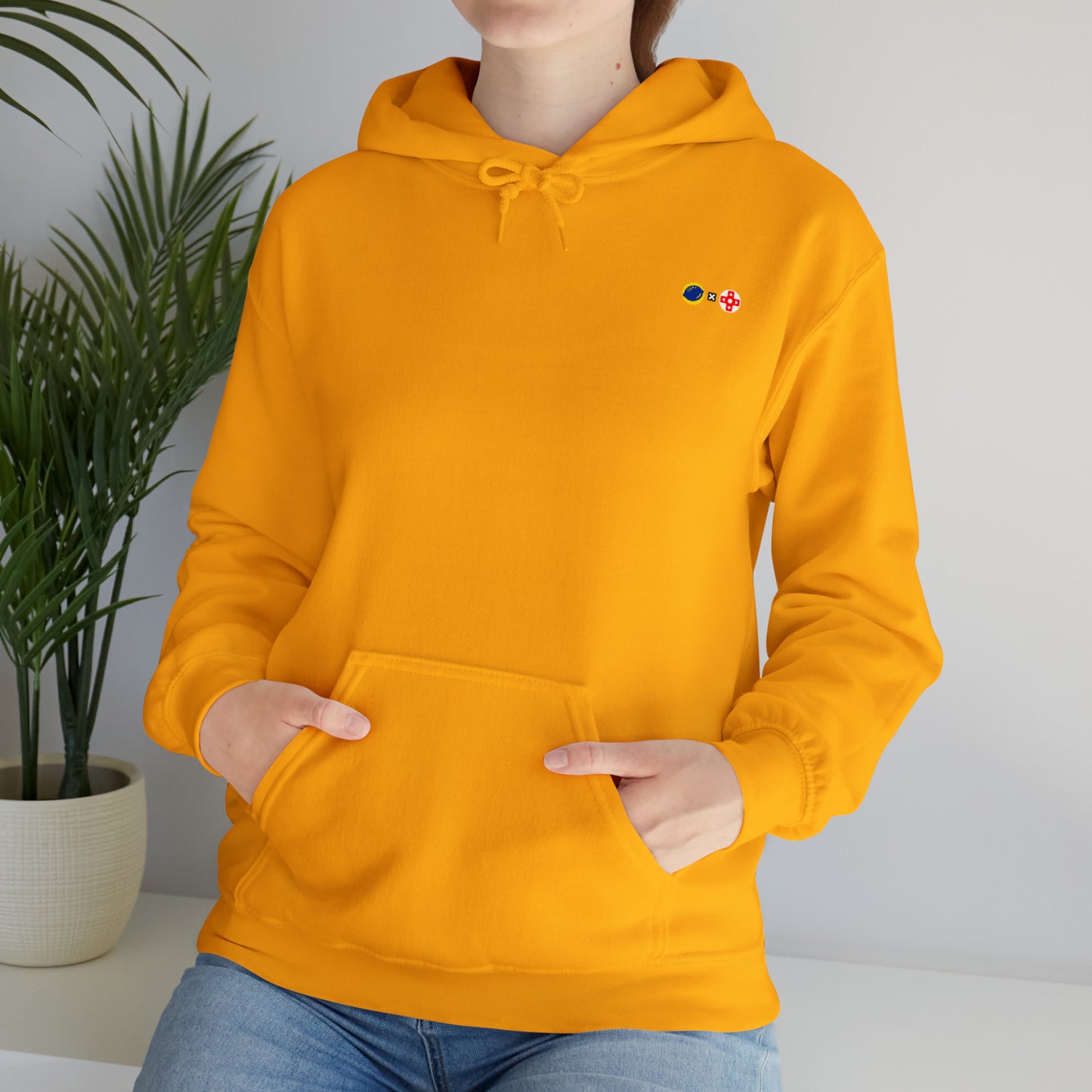 ALS x GSF Unisex Hoodie - It's Dangerous to go Alone