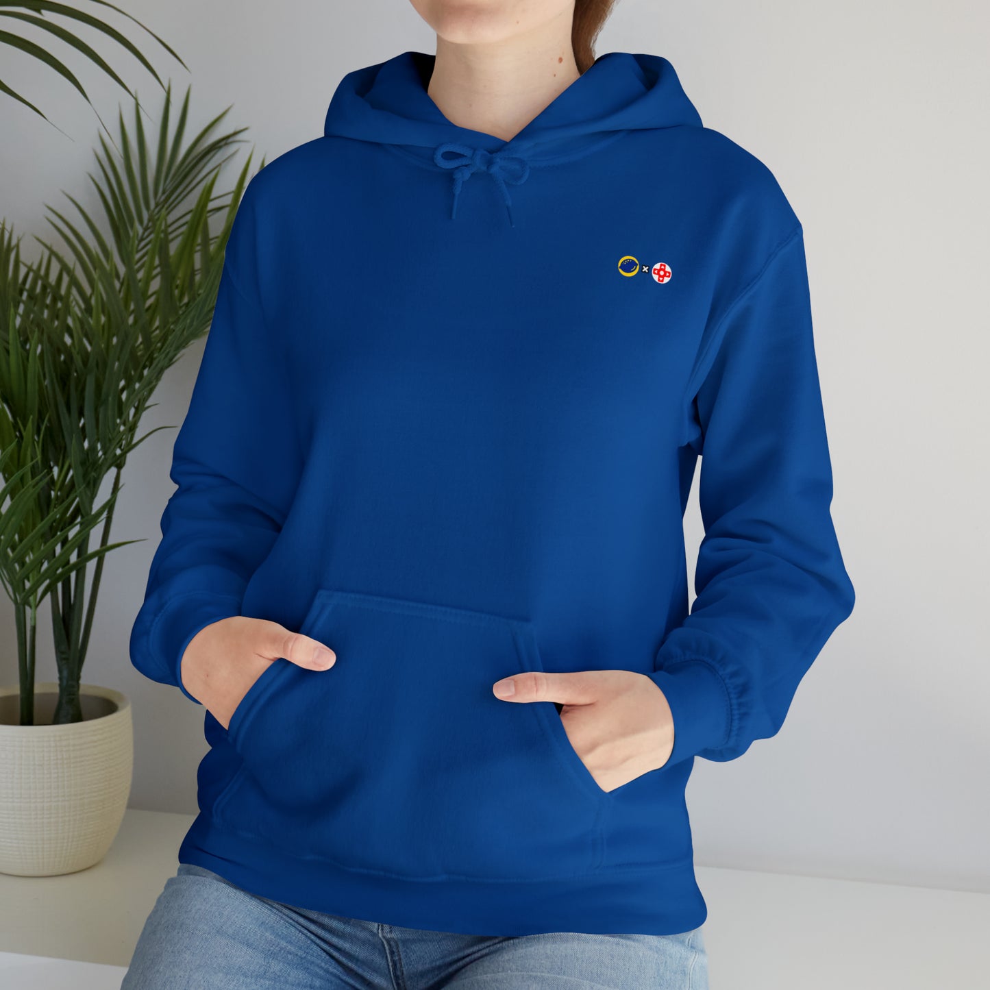 ALS x GSF Unisex Hoodie - It's Dangerous to go Alone