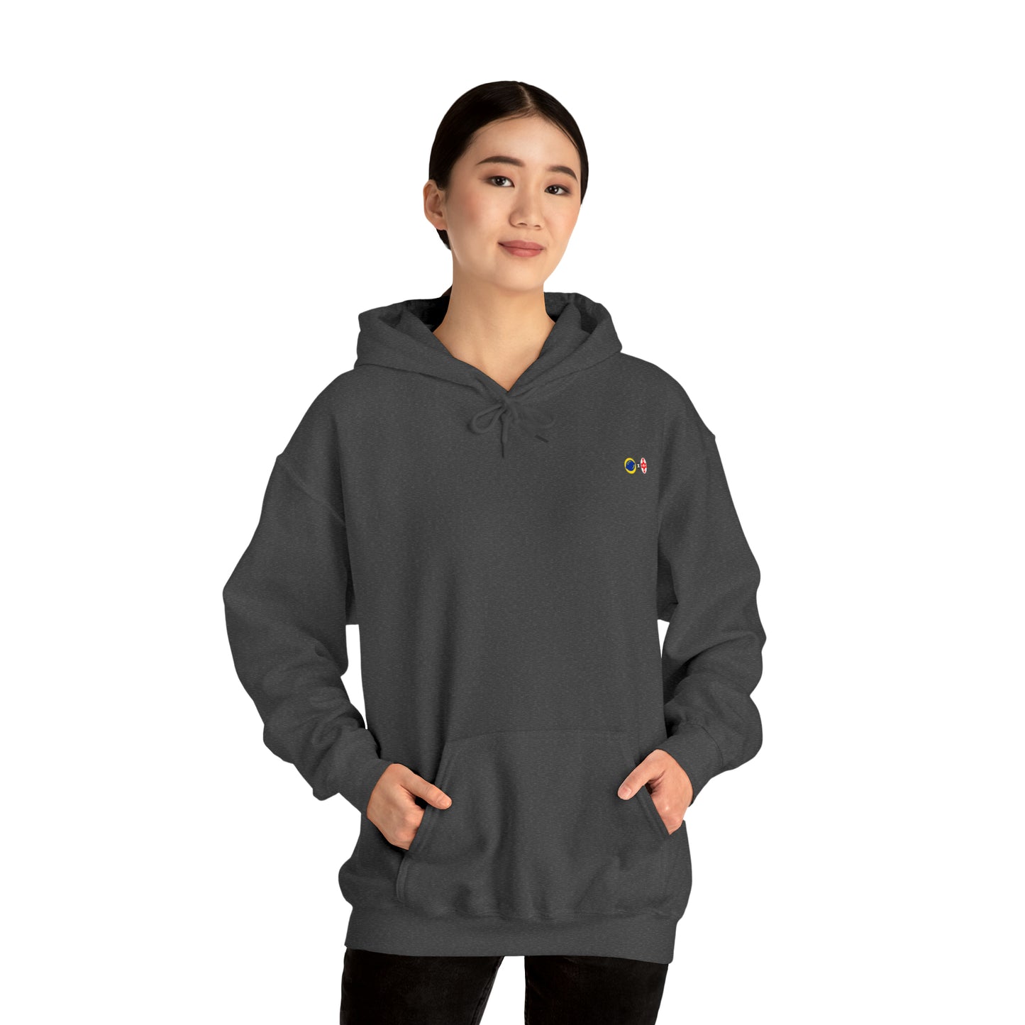 ALS x GSF Unisex Hoodie - It's Dangerous to go Alone
