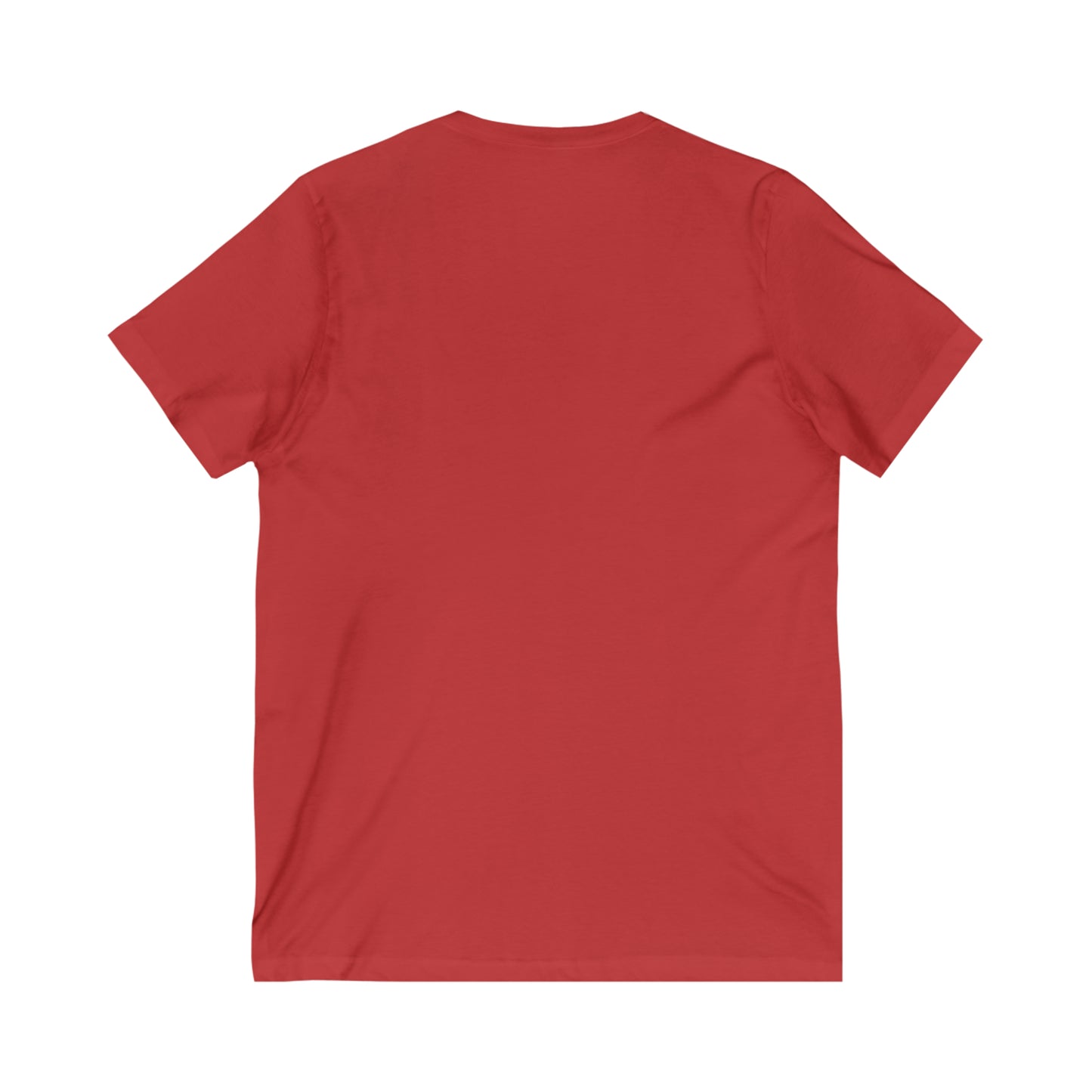 Men's V Tee - DBS