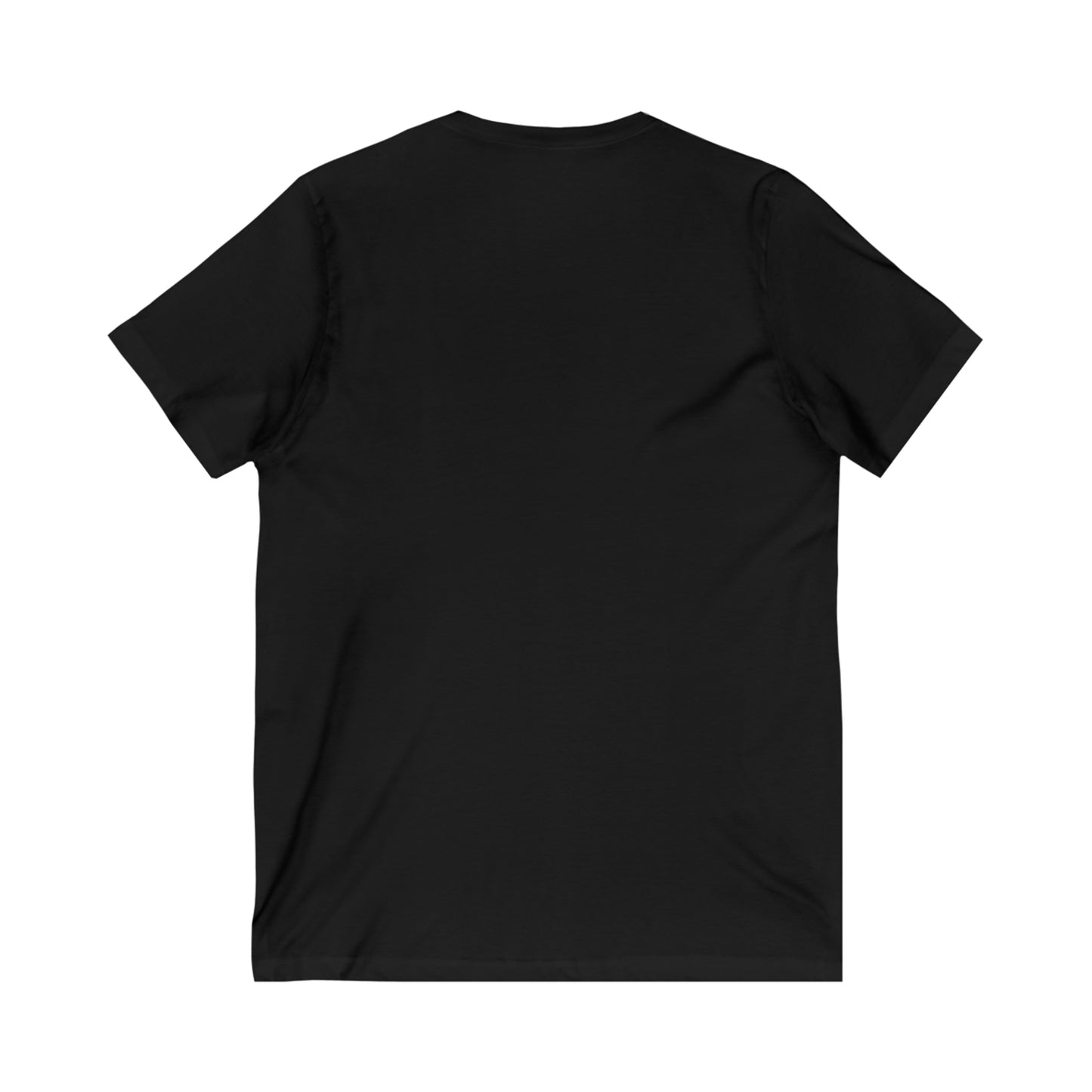 Men's V Tee - DBS