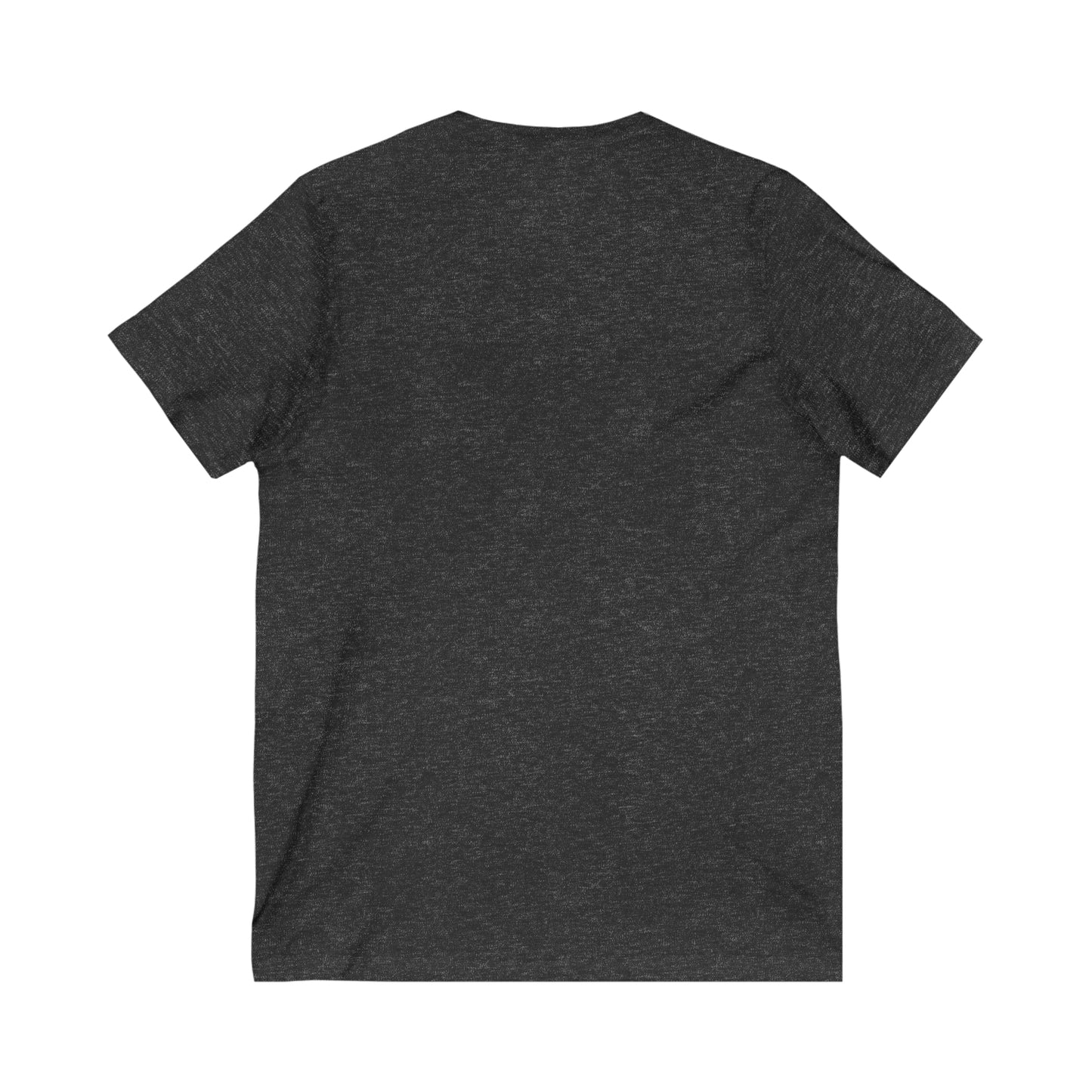 Men's V Tee - DBS