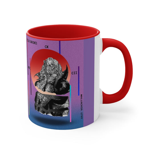 Mug 11oz - Filius Draconis