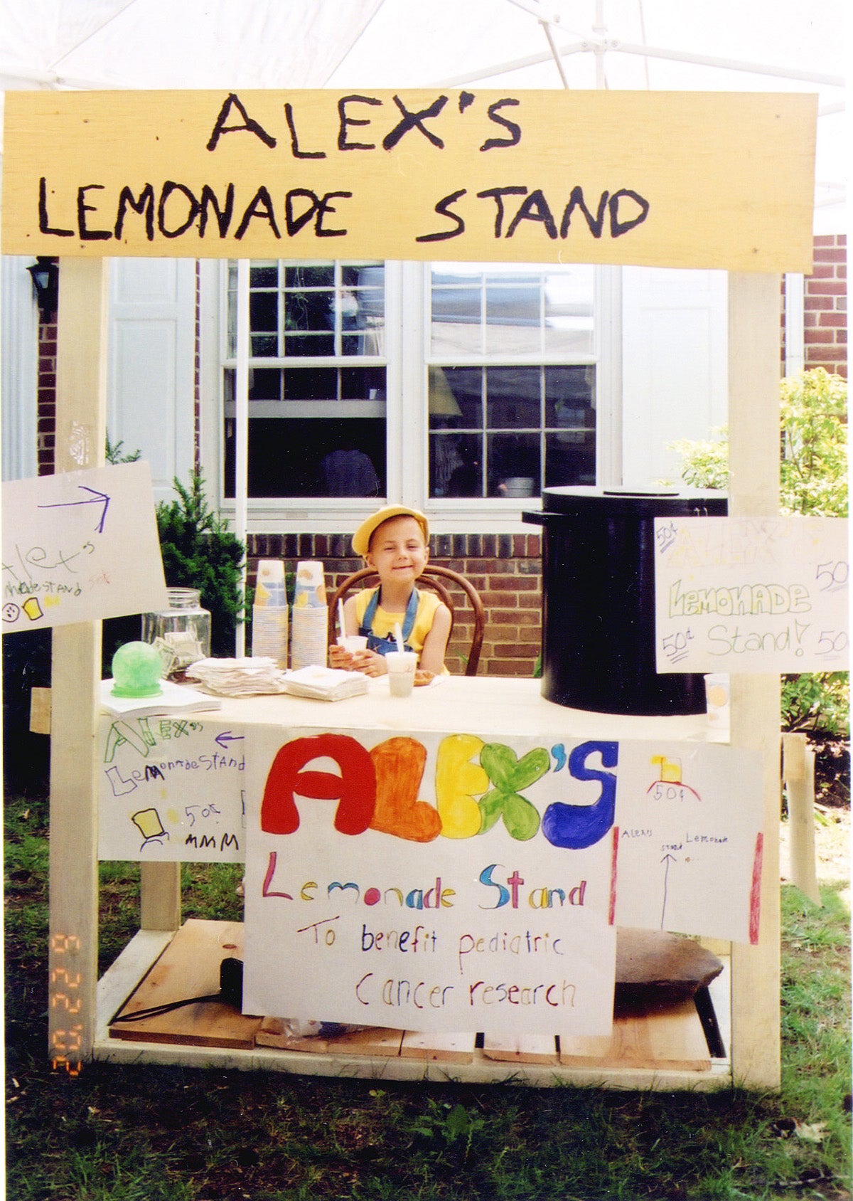 About Alex's Lemonade Stand