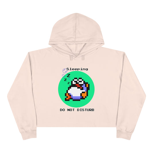 Rip Van Sleeping Crop Hoodie