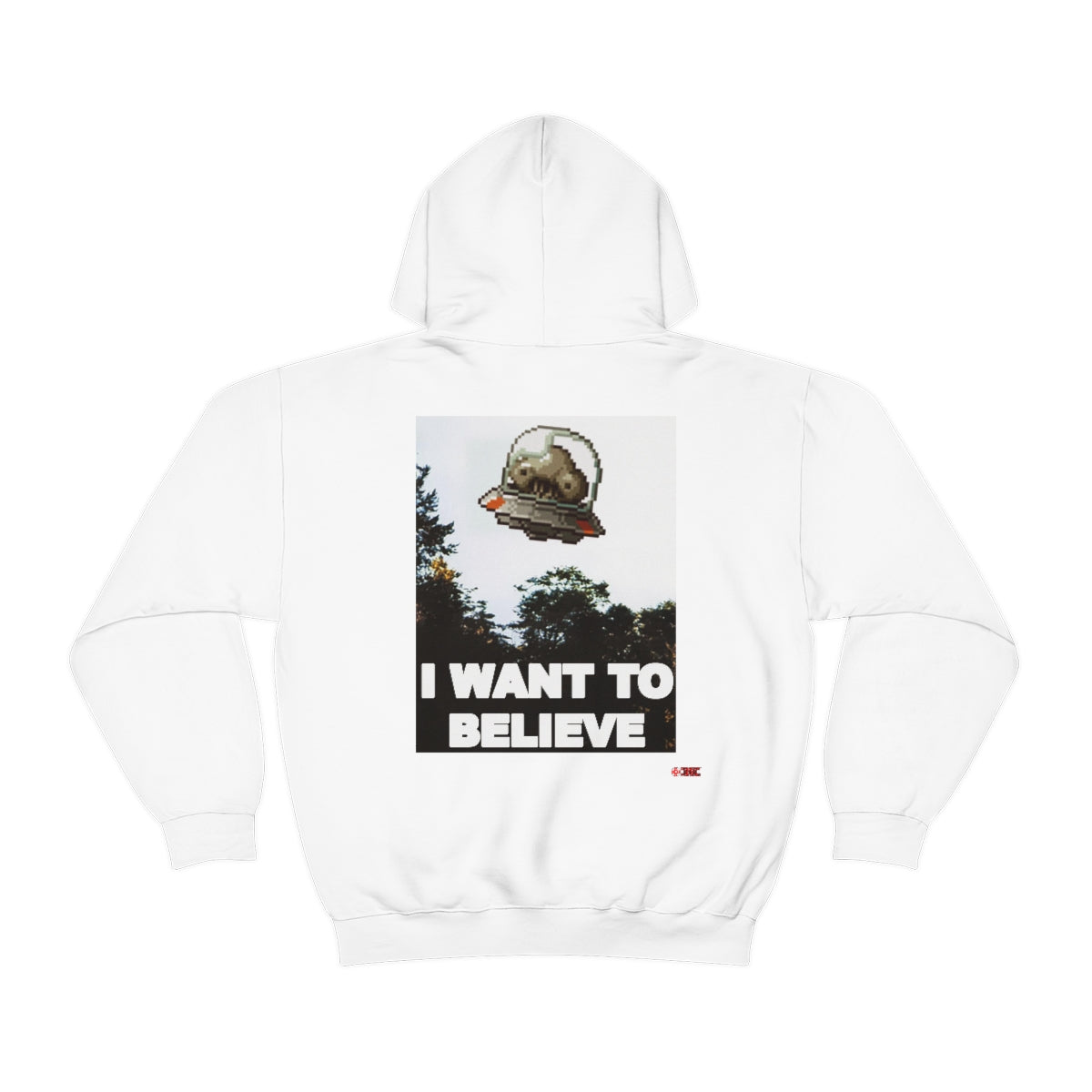 Unisex Hoodie - I Want to Believe