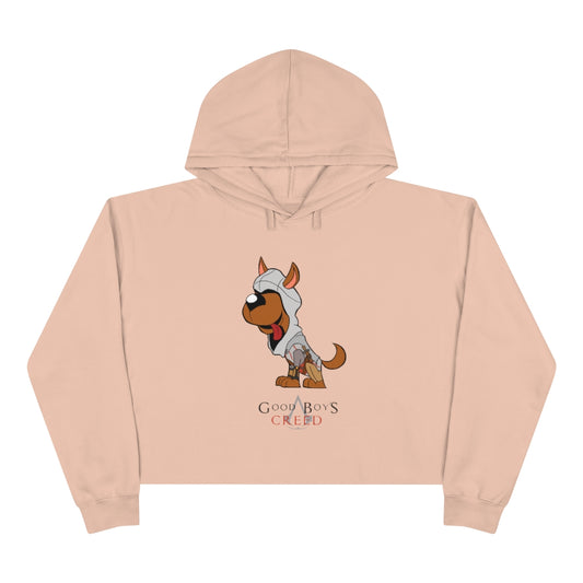 Pink Assassin's Creed Crop Hoodie Gaming Fashion