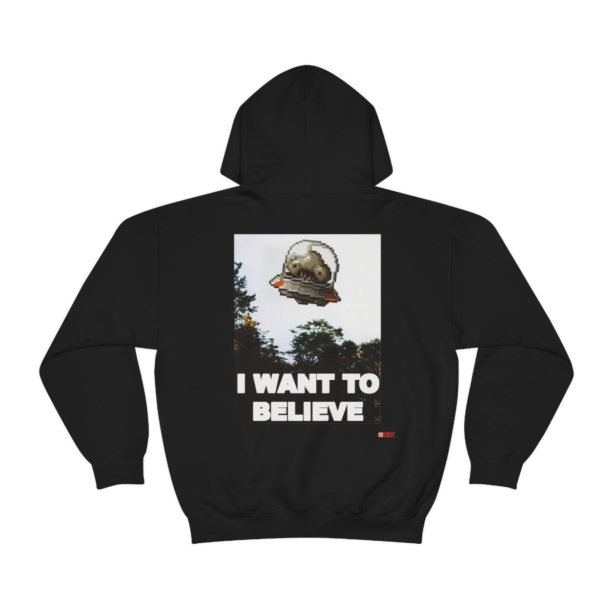 Unisex Hoodie - I Want to Believe