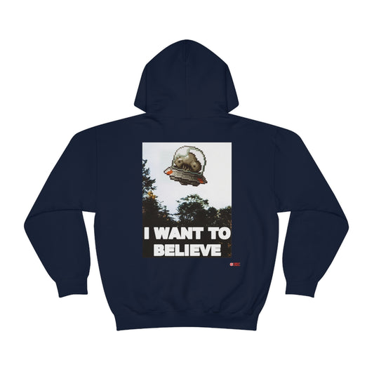 Unisex Hoodie - I Want to Believe